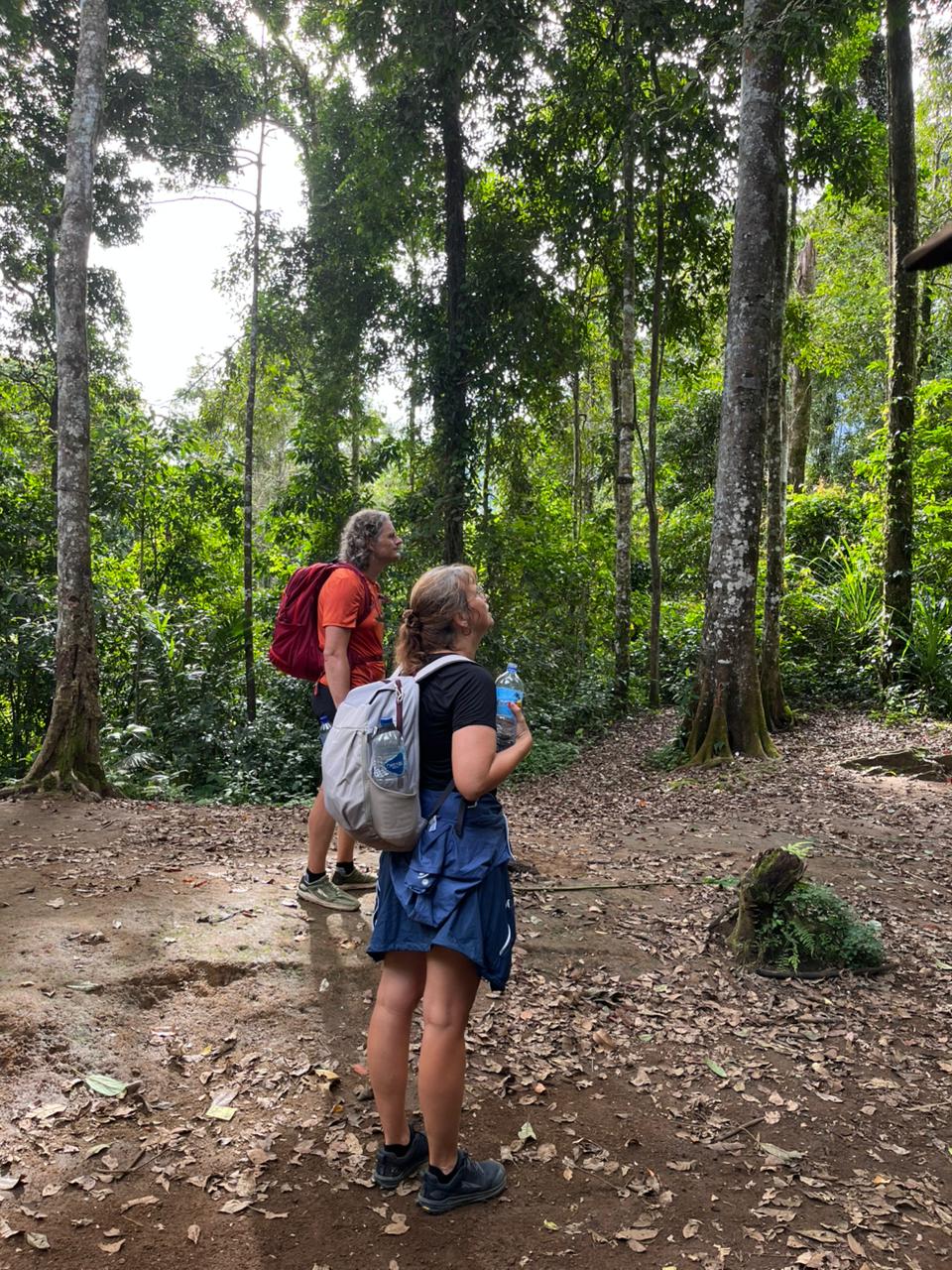 098f1893-39e6-4c4d-b59d-540d215538a3