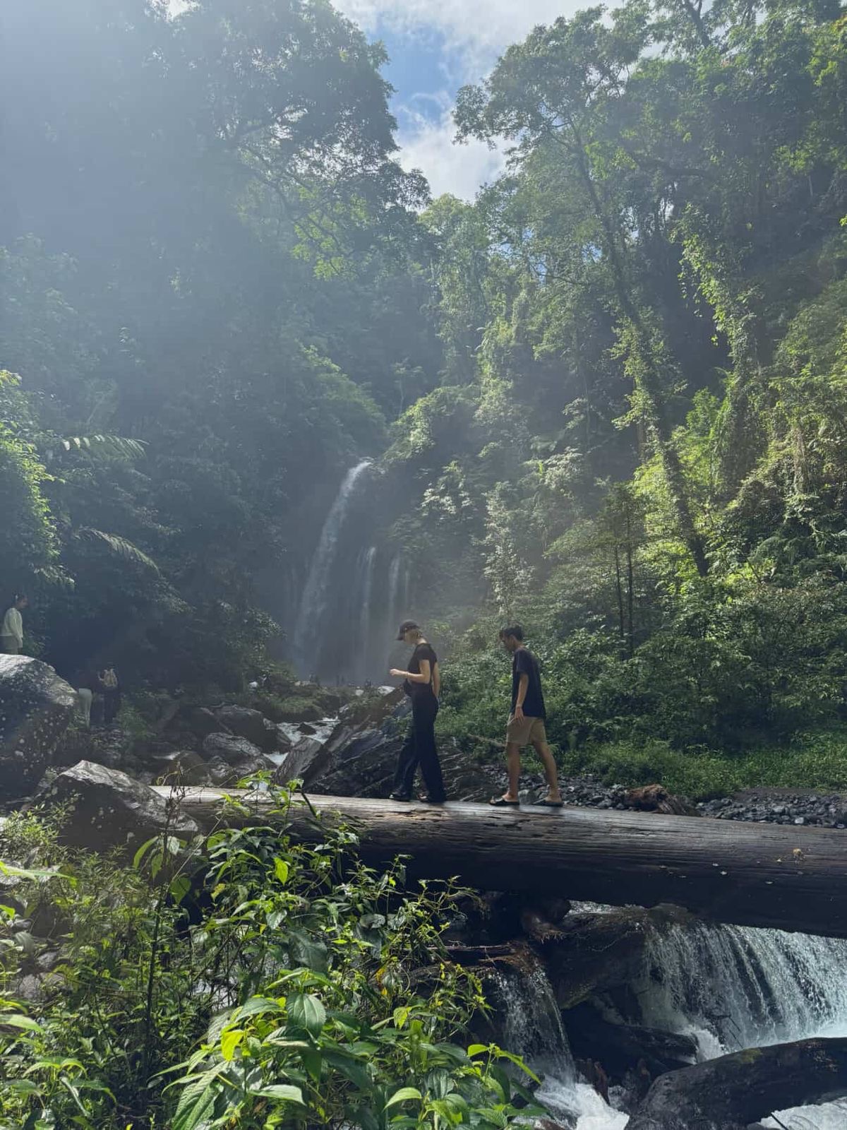 af7d3710-32ac-4db6-a0bb-9421e1246aac