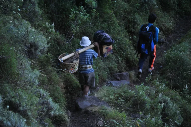 Sembalun vs. Senaru: Choosing the Best Route for Your Rinjani Trek