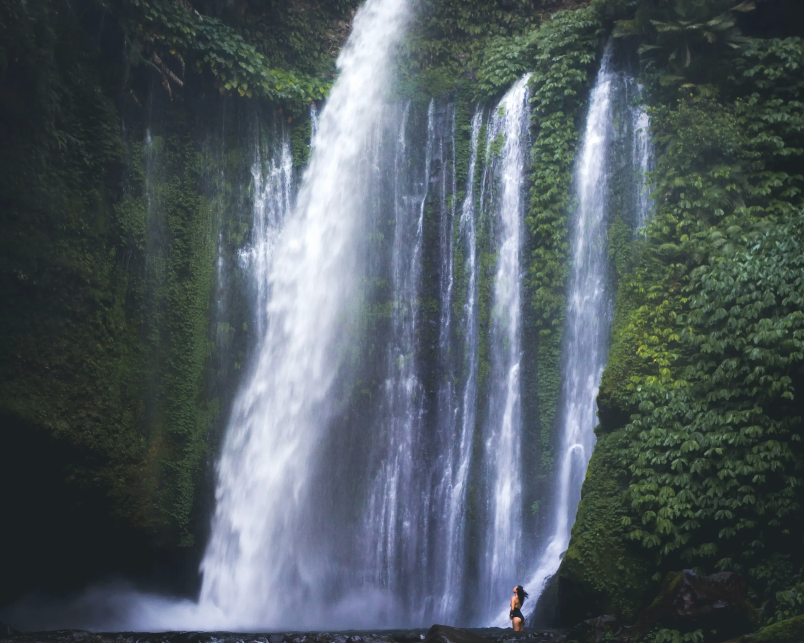 jonathan-ouimet-C48d4rdlOC4-unsplash-new